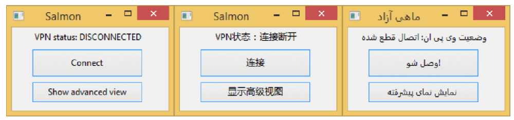 The Salmon client interface