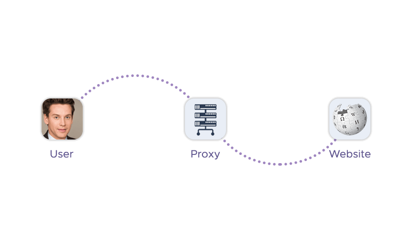 User connects to the website via their own proxy