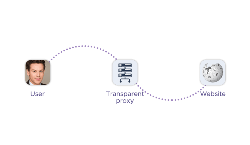 User connects to the website via a transparent proxy