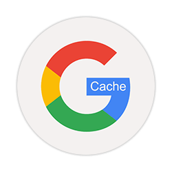 Google Cache icon