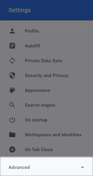 Ghost Browser settings menu