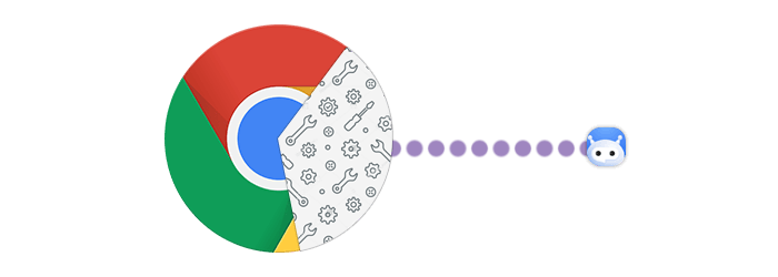 Bot connecting to a website via a headless browser
