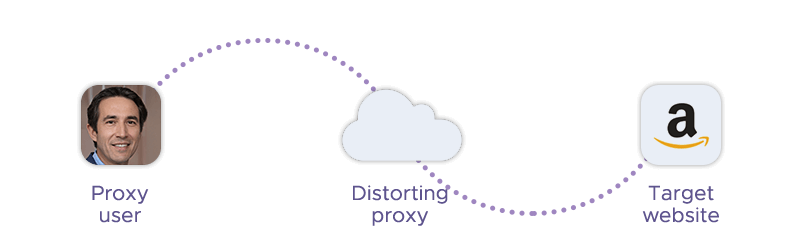 User connects to Amazon via a distorting proxy
