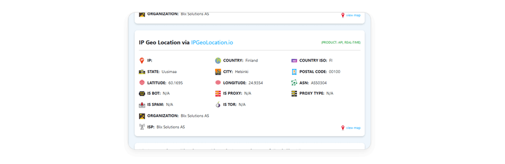 Sample online IP lookup tool interface